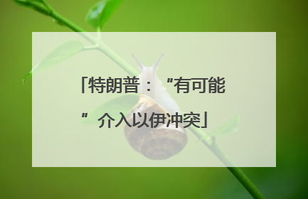 特朗普：“有可能”介入以伊冲突