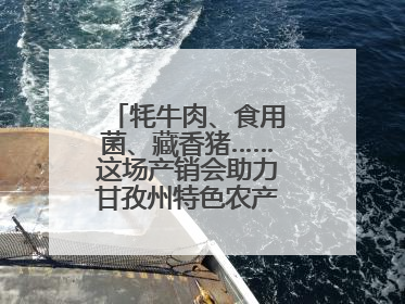 牦牛肉、食用菌、藏香猪……这场产销会助力甘孜州特色农产品走进成都