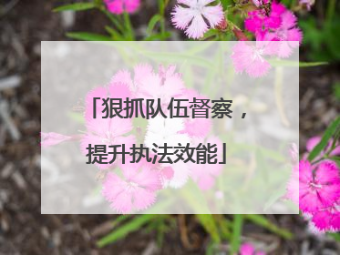 狠抓队伍督察，提升执法效能