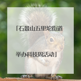 石景山五里坨街道举办科技周活动
