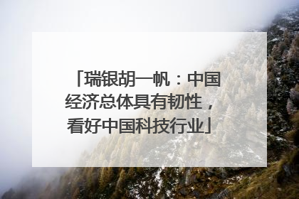 瑞银胡一帆：中国经济总体具有韧性，看好中国科技行业