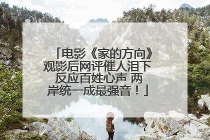 电影《家的方向》观影后网评催人泪下 反应百姓心声 两岸统一成最强音！