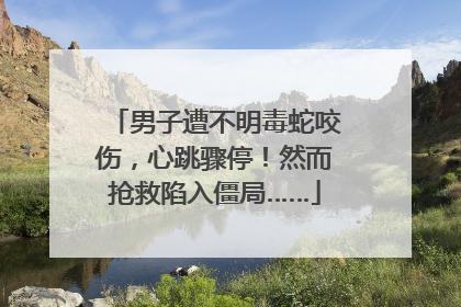 男子遭不明毒蛇咬伤，心跳骤停！然而抢救陷入僵局……