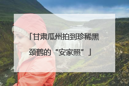 甘肃瓜州拍到珍稀黑颈鹤的“安家照”
