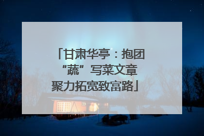 甘肃华亭：抱团“蔬”写菜文章 聚力拓宽致富路
