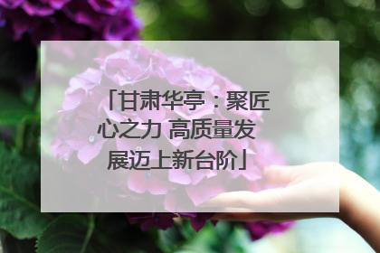 甘肃华亭：聚匠心之力 高质量发展迈上新台阶
