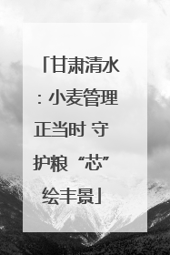 甘肃清水：小麦管理正当时 守护粮“芯”绘丰景