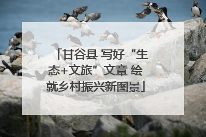 甘谷县 写好“生态+文旅”文章 绘就乡村振兴新图景