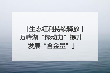 生态红利持续释放丨万峰湖“绿动力”提升发展“含金量”