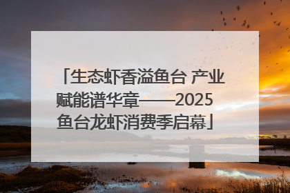 生态虾香溢鱼台 产业赋能谱华章——2025鱼台龙虾消费季启幕