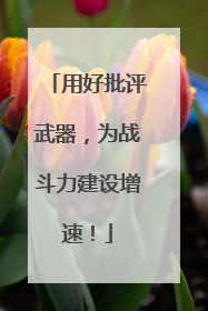 用好批评武器，为战斗力建设增速！