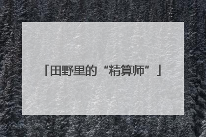 田野里的“精算师”