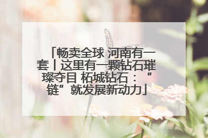 畅卖全球 河南有一套丨这里有一颗钻石璀璨夺目 柘城钻石：“链”就发展新动力