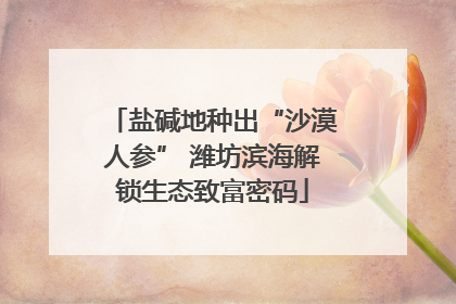 盐碱地种出“沙漠人参” 潍坊滨海解锁生态致富密码