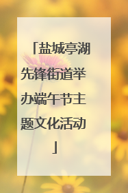 盐城亭湖先锋街道举办端午节主题文化活动