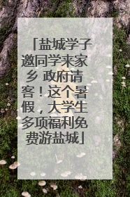 盐城学子邀同学来家乡 政府请客！这个暑假，大学生多项福利免费游盐城