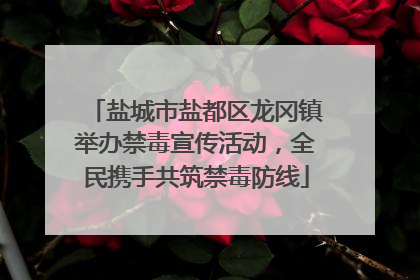 盐城市盐都区龙冈镇举办禁毒宣传活动，全民携手共筑禁毒防线