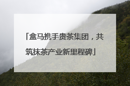 盒马携手贵茶集团，共筑抹茶产业新里程碑
