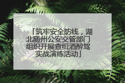 筑牢安全防线，湖北随州公安交管部门组织开展查缉酒醉驾实战演练活动