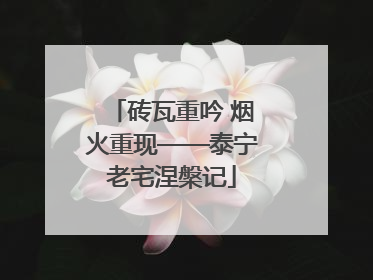 砖瓦重吟 烟火重现——泰宁老宅涅槃记