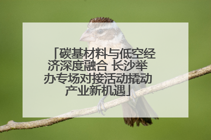 碳基材料与低空经济深度融合 长沙举办专场对接活动撬动产业新机遇