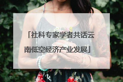 社科专家学者共话云南低空经济产业发展