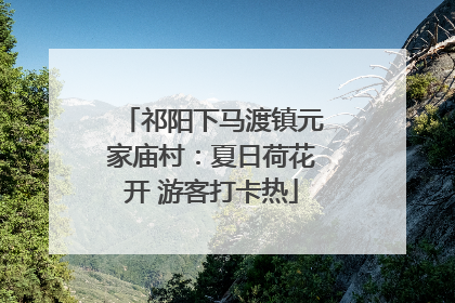祁阳下马渡镇元家庙村：夏日荷花开 游客打卡热