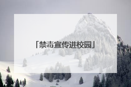 禁毒宣传进校园