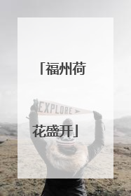 福州荷花盛开