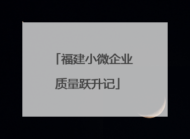 福建小微企业质量跃升记