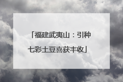 福建武夷山：引种七彩土豆喜获丰收