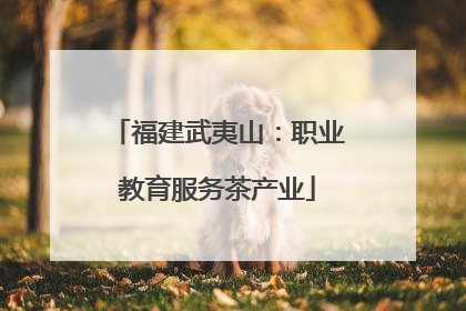 福建武夷山：职业教育服务茶产业