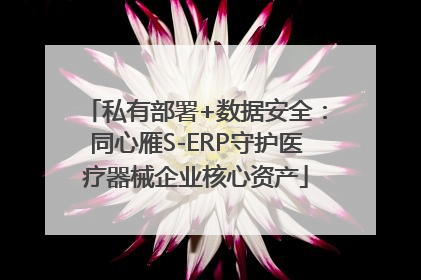 私有部署+数据安全：同心雁S-ERP守护医疗器械企业核心资产