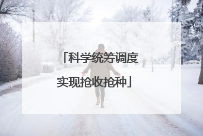 科学统筹调度实现抢收抢种