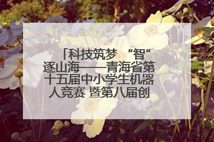 科技筑梦 “智”逐山海——青海省第十五届中小学生机器人竞赛 暨第八届创新设计大赛见闻