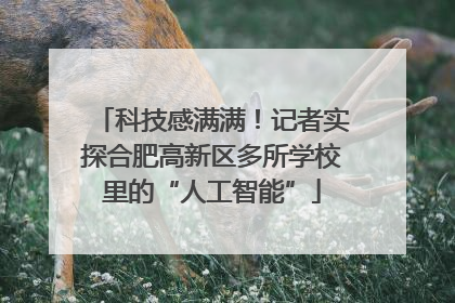 科技感满满！记者实探合肥高新区多所学校里的“人工智能”