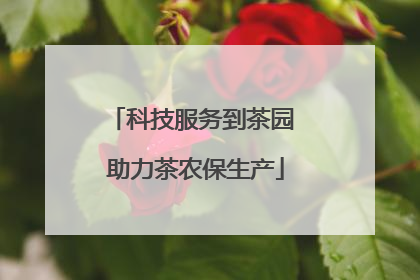 科技服务到茶园 助力茶农保生产