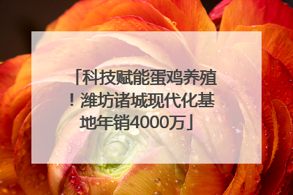 科技赋能蛋鸡养殖！潍坊诸城现代化基地年销4000万