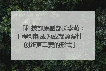 科技部原副部长李萌：工程创新成为成就颠覆性创新更重要的形式