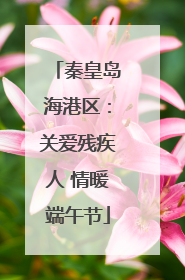 秦皇岛海港区：关爱残疾人 情暖端午节