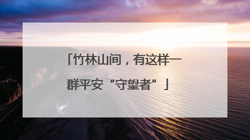 竹林山间，有这样一群平安“守望者”