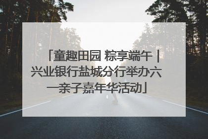 童趣田园 粽享端午｜兴业银行盐城分行举办六一亲子嘉年华活动