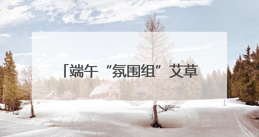 端午“氛围组”艾草花束火爆，长沙有花店卖到98元一束
