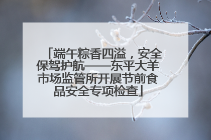 端午粽香四溢，安全保驾护航——东平大羊市场监管所开展节前食品安全专项检查