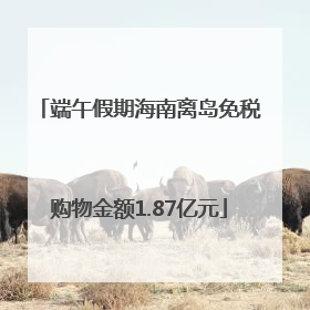 端午假期海南离岛免税购物金额1.87亿元