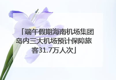端午假期海南机场集团岛内三大机场预计保障旅客31.7万人次