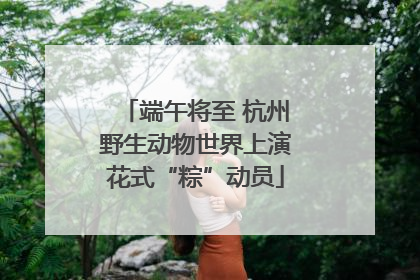 端午将至 杭州野生动物世界上演花式“粽”动员