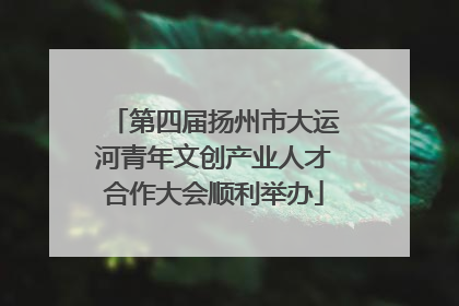 第四届扬州市大运河青年文创产业人才合作大会顺利举办