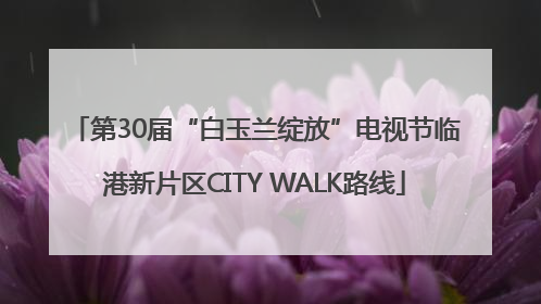 第30届“白玉兰绽放”电视节临港新片区CITY WALK路线