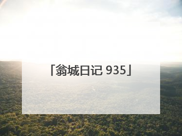 翁城日记 935